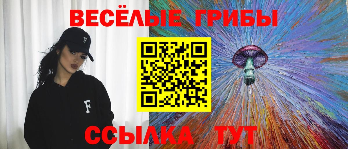 Галлюциногенные грибы Psilocybine cubensis  Галлюциногенные грибы ЛСД  Вход с VPN  Клинцы 