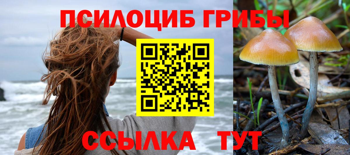 Псилоцибиновые грибы MAGIC MUSHROOMS Клинцы
